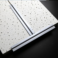 Profilés en T en acier galvanisé pour plafond suspendu, ignifuges, antirouille, pour faux plafond acoustique