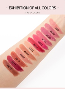 Handaiyan nuevo 12 colores rosa maquillaje lápiz labial pequeño orden seda Velvetenn niebla duradera cubo de hielo desnudo mate lápiz labial - Product Image 3
