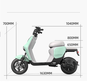 Bicicleta Eléctrica con Cuadro de Acero al Carbono, 3 Velocidades, Motor sin Escobillas de 48V 1000W, Largo Alcance, Pantalla Digital - Product Image 2
