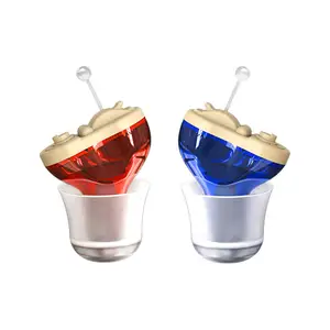 Hot Sell Digital Hearing Aids Mini Invisible Hearing Aid Old People The Deaf Sound Amplifier Red Blue