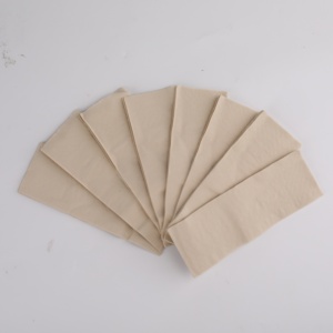 <span class=keywords><strong>Paquet</strong></span> <span class=keywords><strong>de</strong></span> <span class=keywords><strong>serviettes</strong></span> <span class=keywords><strong>de</strong></span> table <span class=keywords><strong>en</strong></span> <span class=keywords><strong>papier</strong></span> blanc jetables à 2 plis autrefois confortables pour les fêtes et les événements - Product Image 5