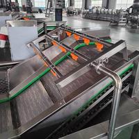 Productsoort Fruit-En Groentewasmachines-Efficiënte Wasmachine Voor Fruit En Groenten