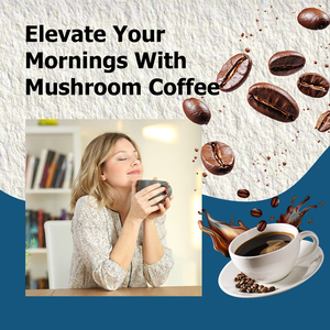Café de Hongos Producción de Fábrica con Melena de León que Ayuda a Mantener la Mente Alerta y Mejorar la Memoria, Café de Hongos con Cordyceps y MCT - Product Image 5