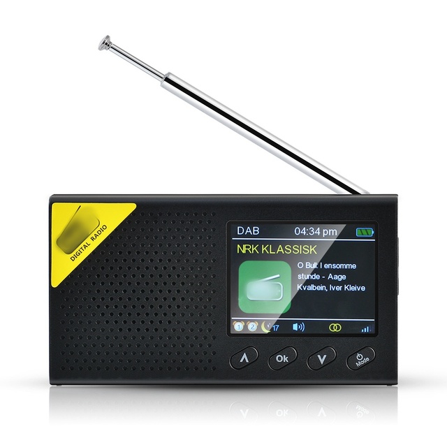 Multifunction Digital Audio Broadcasting Radio with BT Wireless Connection Portable Color Display Radio for Home and Outdoors