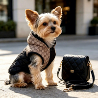 Veste de luxe en coton pour chien, prête à être expédiée, écologique, couleur unie, avec capuche, manteau d'hiver pour grands chiens, fabricant en gros