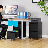 Armoire de classement mobile en métal à 2 tiroirs avec roulettes anti-basculement, verrouillage, design compact anti-poussière pour bureau à domicile (noir)