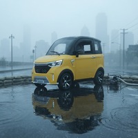 ELION A2 2025, meilleur mini SUV électrique à 4 roues pour adultes, voiture à énergie nouvelle respectueuse de l'environnement avec certificat EEC, batterie au lithium