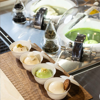 Machine à glace dure intelligente CE NFS Certificat Pro V2, congélateur discontinu tout-en-un, machine à gelato, sorbetière