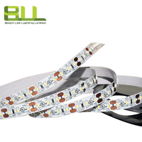 3014 120LED 6500K blanc froid IP20 led bande lumineuse pour la décoration d'escaliers de couloirs à la maison