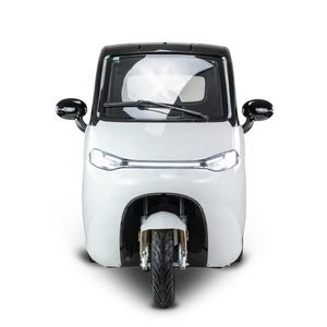 Voiture électrique à trois roues avec cabine certifiée EEC COC L2e |   Tricycle électrique fermé pour adultes <span class=keywords><strong>sans</strong></span> <span class=keywords><strong>permis</strong></span> |   Prix de gros 2025 - Product Image 2