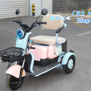 Tricycle Électrique Haute Qualité 800W/1000W pour Adultes à Corps Ouvert, Tension 60V - Product Image 1