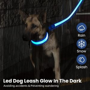 New Arrival Wholesale Illuminating Walking Night Glowing USB Rechargeable Led <b>Dog</b> Leash - Product Image 2