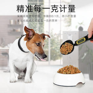 Cuchara Báscula Portátil de Alta Precisión para Alimentos para Mascotas, Té, Ingredientes Alimenticios, Venta Directa de Fábrica, Cuchara de Pesaje Electrónica de Gran Venta - Product Image 1