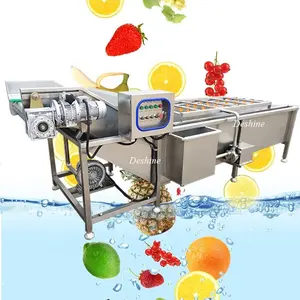 Bubbles Generator Clean Vegetables and Fruit Bubble Washing Machines Cleaned Vegetable Processing Line Price