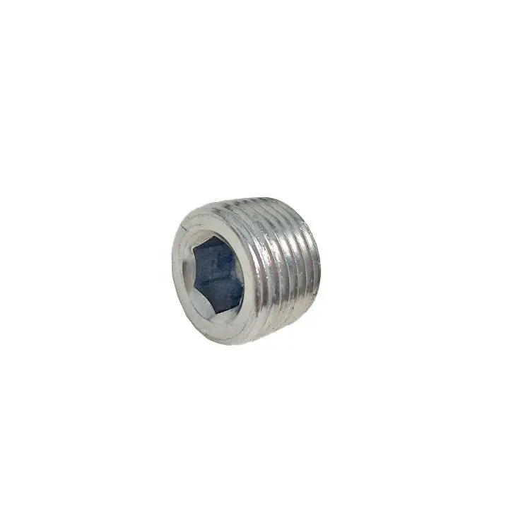 stainless steel 3/8"NPT Internal Hex Thread Socket Pipe Plug
