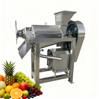 Industriële hoogproductieve gemotoriseerde fruitverwerkingsinstallatie sapmachine 220V slow cold press citroenpers spiraalvormig