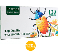 Couleurs de qualité dans un ensemble de crayons aquarelle en bois standard plus doux 48/72/120 avec impression personnalisée pour artistes expérimentés