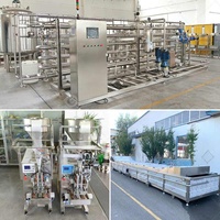 Semi-automatische geconcentreerde pasta-verwerkingsapparatuur, productielijn voor geconserveerde tomatenketchup, prijs machine