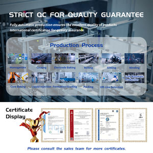 Baterai Lithium Ion Prismatis LiFePO4 REPT Grade A 314Ah 3.2V 10000 Siklus (-30-60C) Deep Cycle untuk Sistem Penyimpanan Energi Surya - Product Image 4