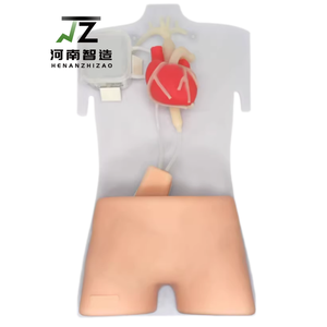Simulador de Entrenamiento ECMO - Modelo de Entrenamiento para Punción Arterio-Venosa Femoral Guiada por Ultrasonido - Product Image 1