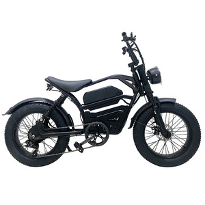 Bicicletta Elettrica <span class=keywords><strong>E</strong></span>-bike a Consegna Rapida, 48V 250W, Doppi Motori, 7 Velocità, Ruote Fat da 20 Pollici - Product Image 3