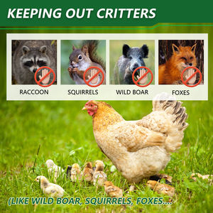 Эко-щит для корней и домашнего скота: 1/2 сетчатая ткань (48x100 ') устойчиво защищает сады и птицу. Повторное использование в течение многих лет - Product Image 6