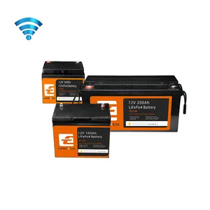 WiFi Control RV/Golf battery 12V24V 100AH 200AH BMS protect avoid over-discharge 12v100ah lifepo4 battery solar lithium battery