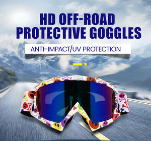 Equipo de Caballero de moda hombres mujeres <span class=keywords><strong>Motocross</strong></span> <span class=keywords><strong>gafas</strong></span> casco al aire libre Anti UV a prueba de viento PC marco <span class=keywords><strong>gafas</strong></span> verde blanco rojo - Product Image 6