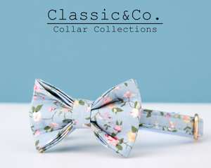 Collier pour chat en velours uni coloré Breakaway avec nœud papillon et laisse personnalisée, gravure personnalisée du nom du chaton, boucle de sécurité gratuite dorée - Product Image 3