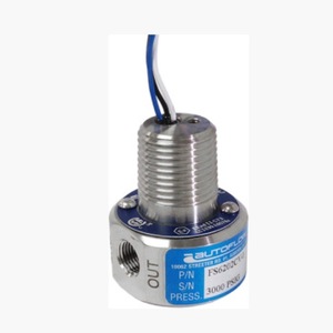 Autoflow Durchfluss-Schalter 3000 Psi Einstellbarer Hochdurchfluss-Schalter für Industrielle Anwendungen - Product Image 1