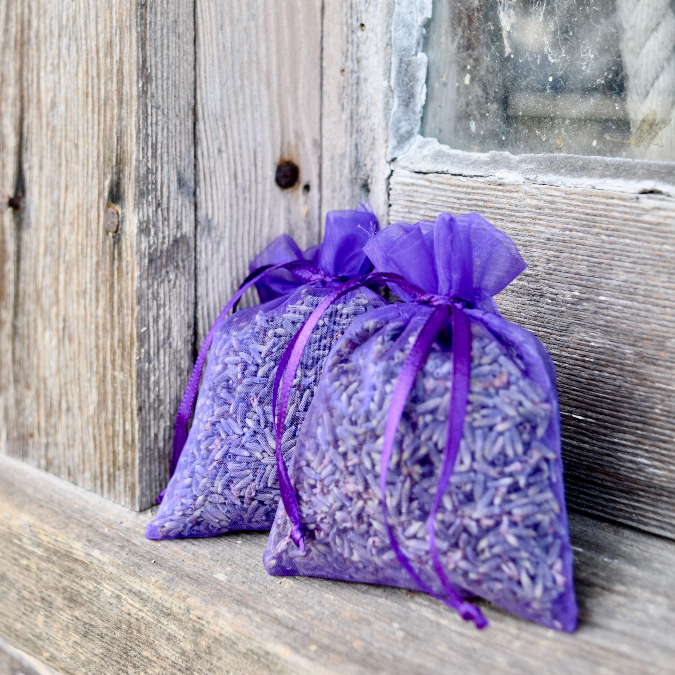 Pourpre