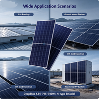 Silicio Monocristalino de Alta Eficiencia para Celdas Solares Tipo N de 500W-700W con Tecnología Fotovoltaica de Doble Vidrio