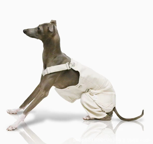 Salopette légère en coton pour chien de type Greyhound italien, pantalon ajustable pour Bedlington, Whippet et Pointer à poils longs - Product Image 5