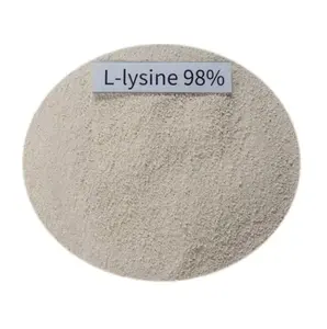 Nhà máy nóng bán Lysine thức ăn cấp thực phẩm protein 98.5% L Lysine cho động vật