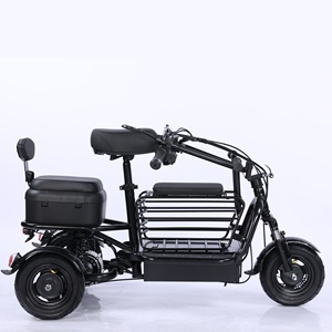 Un petit vélo électrique pliable à <span class=keywords><strong>trois</strong></span> <span class=keywords><strong>roues</strong></span> pour le transport des enfants, adapté aux femmes âgées à la maison - Product Image 5