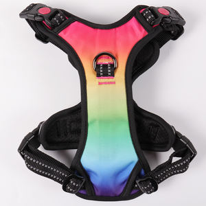 カスタムパターンオックスフォードアウトドアナイトウォーキングメッシュフロントクリップRGB充電式USBLEDライト付きプルペットドッグハーネスなし - Product Image 6