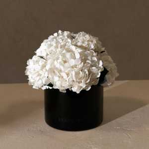 Vénus personnalisée préservée éternité Rose dôme en gros coloré <span class=keywords><strong>éternel</strong></span>le fleur mélange infini Rose boîte pour la décoration de table à la maison - Product Image 5