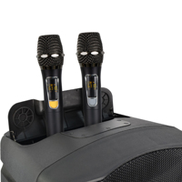RQSONIC Haut-parleurs portables CT12D5-GO-U2-MP3 Battery Powered Pa System Haut-parleur de karaoké avec micro et Bluetooth