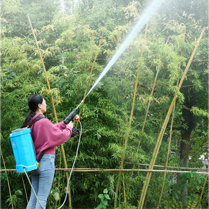 <span class=keywords><strong>Pistolet</strong></span> à eau <span class=keywords><strong>haute</strong></span> <span class=keywords><strong>pression</strong></span> 48V Power Wireless domestique électrique multifonctionnel spécial artefact <span class=keywords><strong>batterie</strong></span> au lithium lavage de voiture jardin - Product Image 3
