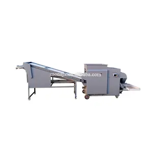 Automatic Mealworm Color Sorter Mealworm Beetle Sorting Machine price