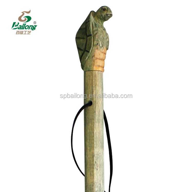 Cabeza de tortuga