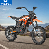 Sepeda Listrik Dengan Kapasitas Angkut 120kg Tahan Cipratan Air IPX4 untuk Perjalanan Urban Distributor Diterima Desain Kustom Tersedia