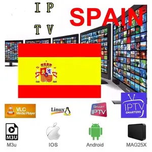 IPTV abonnement 12 mois m3u yetişkinler xxx destek 4K xtxtsamsung kodu Samsung LG TV akıllı TV telefon PC için İspanya avrupa Nederland