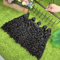 Extensions de cheveux humains bouclés afro-birmans pré-bouclés, 100 % naturels non traités, pour tresses au crochet, effet plume, avec nœuds miracle