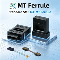 Ferrule MT monomode 16 cœurs moulée avec précision pour transceiver optique cohérent dans l'infrastructure 5G et l'informatique de pointe (PPS MT Ferrule)