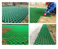 Grilles en plastique pour pavés d'herbe modernes écologiques en HDPE avec haute résistance à la compression pour le drainage et l'utilisation du jardin 500x500mm 3mm d'épaisseur
