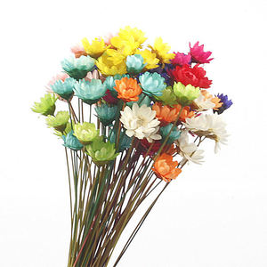 Flores secas decorativas Mini Margarita Ramo de manzanilla 50 tallos Color de otoño Flores secas naturales Margarita de estrella pequeña brasileña - Product Image 1