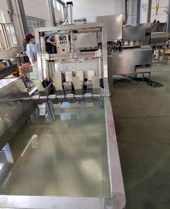 Ligne de traitement pour la lavage et le pelage des kakis, oranges, citrons, et la pelage et le dénoyautage des pommes, poires - Product Image 5