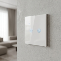 Interrupteur intelligent Tuya Larkkey à 2 boutons en verre, Wi-Fi L+N/L, en promotion, au meilleur prix