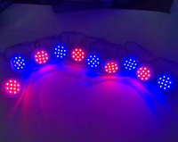 Lumières LED RGB Cabochon de Haute Qualité 55mm Nouveau Design 1-16 Pixels 24V RVB Automatique pour Parc d'Attractions